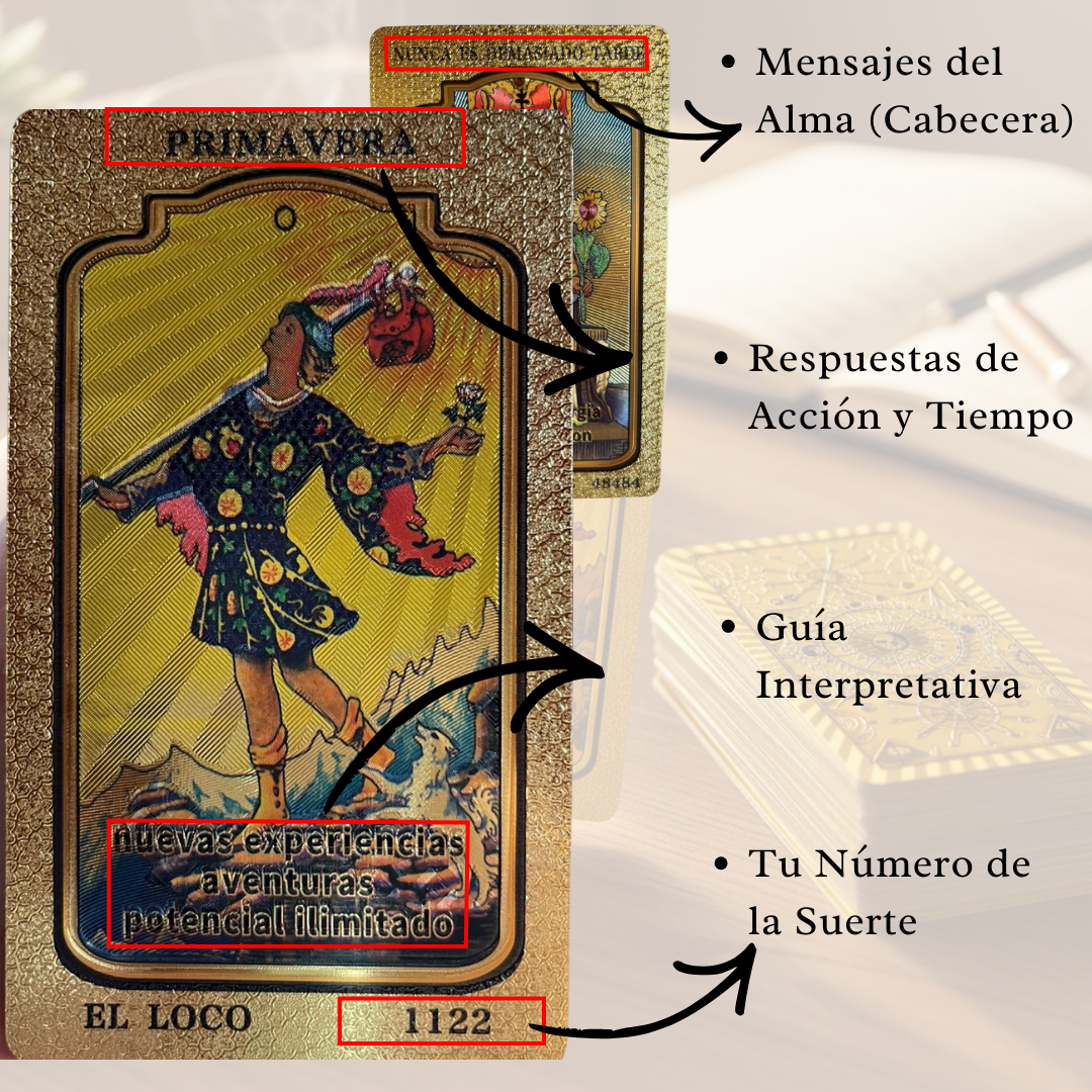 Cartas De Tarot Rider Gold de 78 Cartas PVC + Curso Digital Completo
